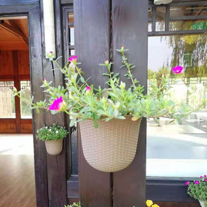 Maceta <span class=keywords><strong>de</strong></span> plástico colorida para flores, <span class=keywords><strong>macetas</strong></span> colgantes para balcón, jardín, plantas, cubo, soporte para flores - Product Image 3
