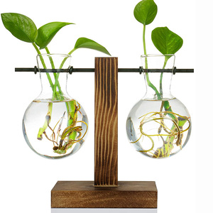 New Transparent Glass Planter Vase Terrarium With Retro Solid Wooden Stand For Propagation Hydroponics