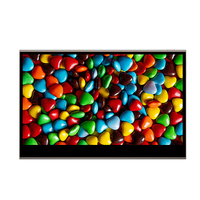 Moniteur portable tactile LED OEM 15,6 pouces, design fin Type-C, résolution 1080p, dalle OLED, temps de réponse de 1 ms pour le gaming