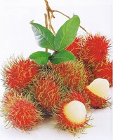 Hoge Kwaliteit Beste Prijs Zoete Rambutan