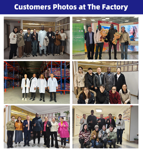 2% 2.5% lợn premix thức ăn cho heo con lợn nái ở giai đoạn cho con bú mang thai chất lượng cao thức ăn supplyments vitamin tăng cân Enhancer - Product Image 5