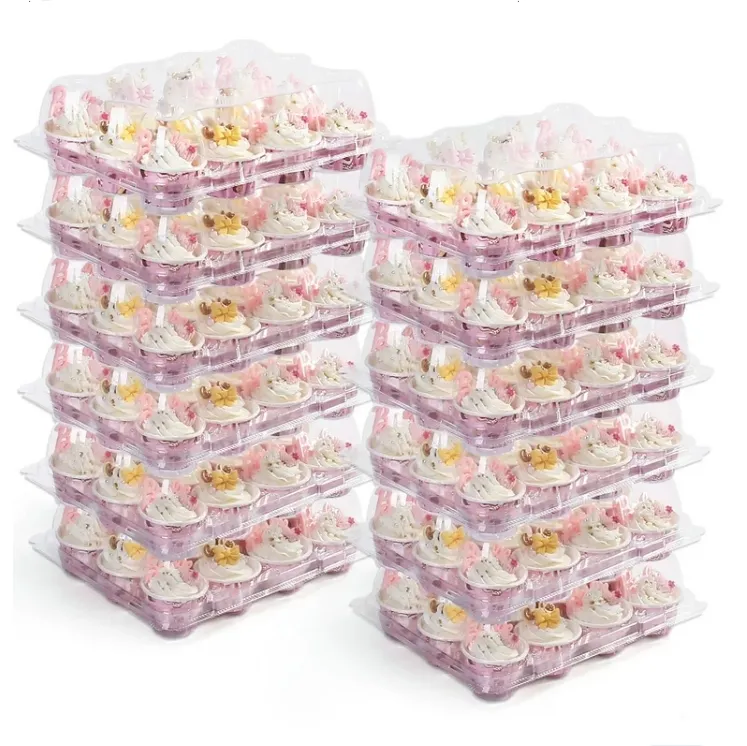 Cupcake Container Met Deksel 12 Cupcake Containers 12 Mini Cupcake Containers 12 Count