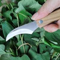 Couteau de greffage et de cueillette de champignons en bois de rose, lame en acier à haute teneur en carbone de 6 cm, portable pour le camping, vente en gros du fabricant