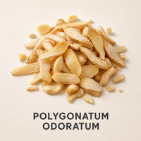 Tranches de rhizome de Polygonatum Odoratum séché en gros, qualité alimentaire, ingrédient naturel en vrac pour le thé et la préparation de soupes, Chine