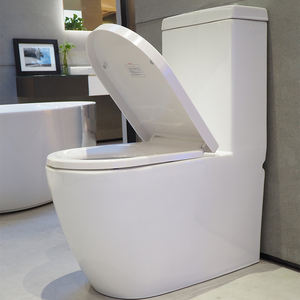 <span class=keywords><strong>WC</strong></span> monobloc sur pied <span class=keywords><strong>Geberit</strong></span> KeraMag allemand, <span class=keywords><strong>WC</strong></span> monobloc de petite taille pour la maison, désodorisant, économiseur d'eau, <span class=keywords><strong>WC</strong></span> monobloc 210035 - Product Image 2