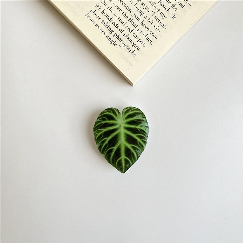 สีแดงเข้ม