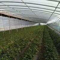 Serre tunnel agricole à portée unique grande taille pour culture de légumes, à faible coût, avec couverture en plaques PC, marque YanPeng - Offre Spéciale