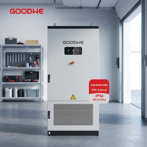 Armoire de stockage d'énergie tout-en-un GoodWe GW125/261-ESA-LCN-G10 125 kW/261 kWh BESS LFP avec système de refroidissement pour C&I - Product Image 1
