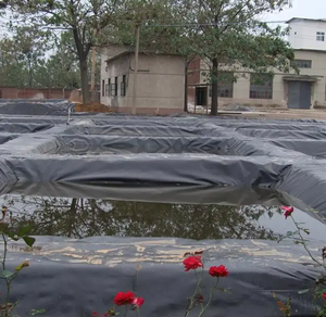 Hiện đại 1mm lót <span class=keywords><strong>HDPE</strong></span> <span class=keywords><strong>geomembrane</strong></span> LLDPE chống thấm polyethylene màng cá trang trại và ao lót không thấm nước - Product Image 5