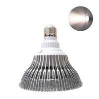 E26 E27 Led COB Grow Ampoule pour intérieur à spectre complet 12W Led COB Grow Ampoule 18W 20w 24w PAR38 Led Grow Ampoule