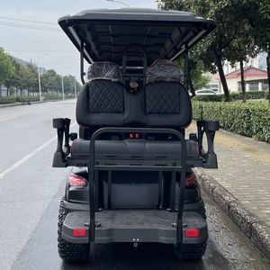 Nuevo diseño <span class=keywords><strong>Mega</strong></span> cantidad por lote Tendencia del mercado Personalización elegante Carro de golf utilitario eléctrico - Product Image 4