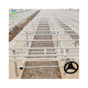 Dây Lưới Cán băng ghế dự bị nhà kính phát triển Thiết bị dây Lưới Cán băng ghế dự bị Vườn Ươm bảng trồng với lưới thép hàn - Product Image 5