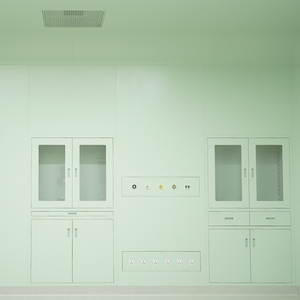 خزانة تخزين طبية معيارية من الفولاذ المقاوم للصدأ بتصميم إطار مخفي لغرف العمليات النظيفة - Product Image 6