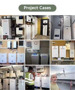 Sistema de Almacenamiento de Energía Solar Ecológico de Nueva Energía, Batería de Pared de 15KWH, 5kwh, 10kwh, Lifepo4, Wifi, 51.2V, 100Ah, 200Ah - Product Image 5