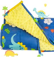Couverture lestée pour enfants en polaire minky motif dinosaure avec perles – Échantillon disponible