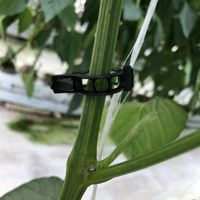 Clips de Soutien pour Plantes en Bioplastique/Polypropylène Transparent à Forte Adhérence 16-25mm pour Tomates, Concombres, Lianes – Jardin Multi-Saisons
