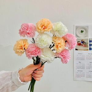 Bouquet de fleurs artificielles en soie Qingyu Chronicle, couleur rose champagne et blanc, pour la décoration de la maison, la Saint-Valentin - Product Image 1