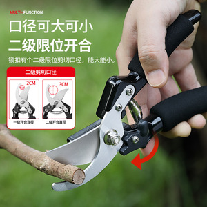 Stainless Steel Pruning <b>Shears</b> 20-30 Mm Bypass Garden <b>Tool</b> For Thick Branches And Bonsai Triming - Product Image 1