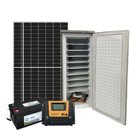 Congélateur vertical solaire 198L 11 niveaux, machine à glaçons DC hors réseau, congélation rapide pour îles et zones éloignées