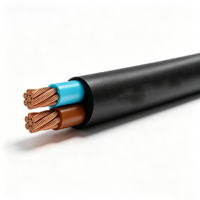Câble d'alimentation plat en gros VCT 2 conducteurs 1,5 mm 2,5 mm 4 mm 6 mm 10 mm 16 mm 25 mm 35 mm isolé PVC 450/750V Thaïlande