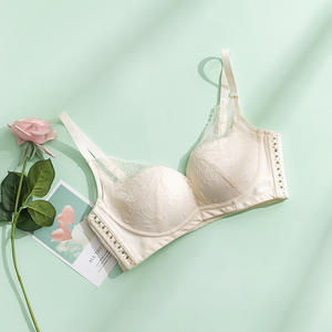 Soutien-gorge en soie Tange sans armatures, pour grandes poitrines, lingerie en soie de ver à soie, soutien-gorge fin en dentelle, soutien-gorge compact - Product Image 3