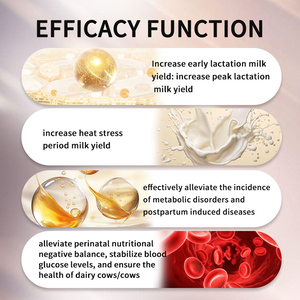 Le glucose enzymatique professionnel pour l'alimentation des animaux augmente le rendement laitier de lactation de pointe pour les ruminants-Poudre d'alimentation animale pour vaches laitières - Product Image 4