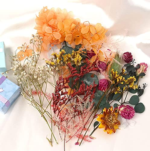 Kit de décoration de fleurs séchées colorées DIY - Product Image 2