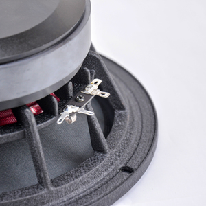 Altavoz de Rango Medio para Automóvil Soway de 8 Pulgadas y 2 Vías, de Aluminio, 12 V, 800 W, Subwoofer para <span class=keywords><strong>Coche</strong></span>, para GAC Aion LX, Cine en Casa, <span class=keywords><strong>Precio</strong></span> Bajo - Product Image 5