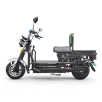 Vélo de livraison SIGOTECH Factory 1200W, 45 km/h, scooter électrique de transport lourd pour adultes