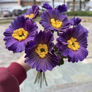 <span class=keywords><strong>Gerbera</strong></span> Artificial Africana de 7 Cabezas con Tallo, PU, para Bodas, Halloween, Decoraciones de Acción de Gracias, Ideas de Regalos para el Hogar - Product Image 5