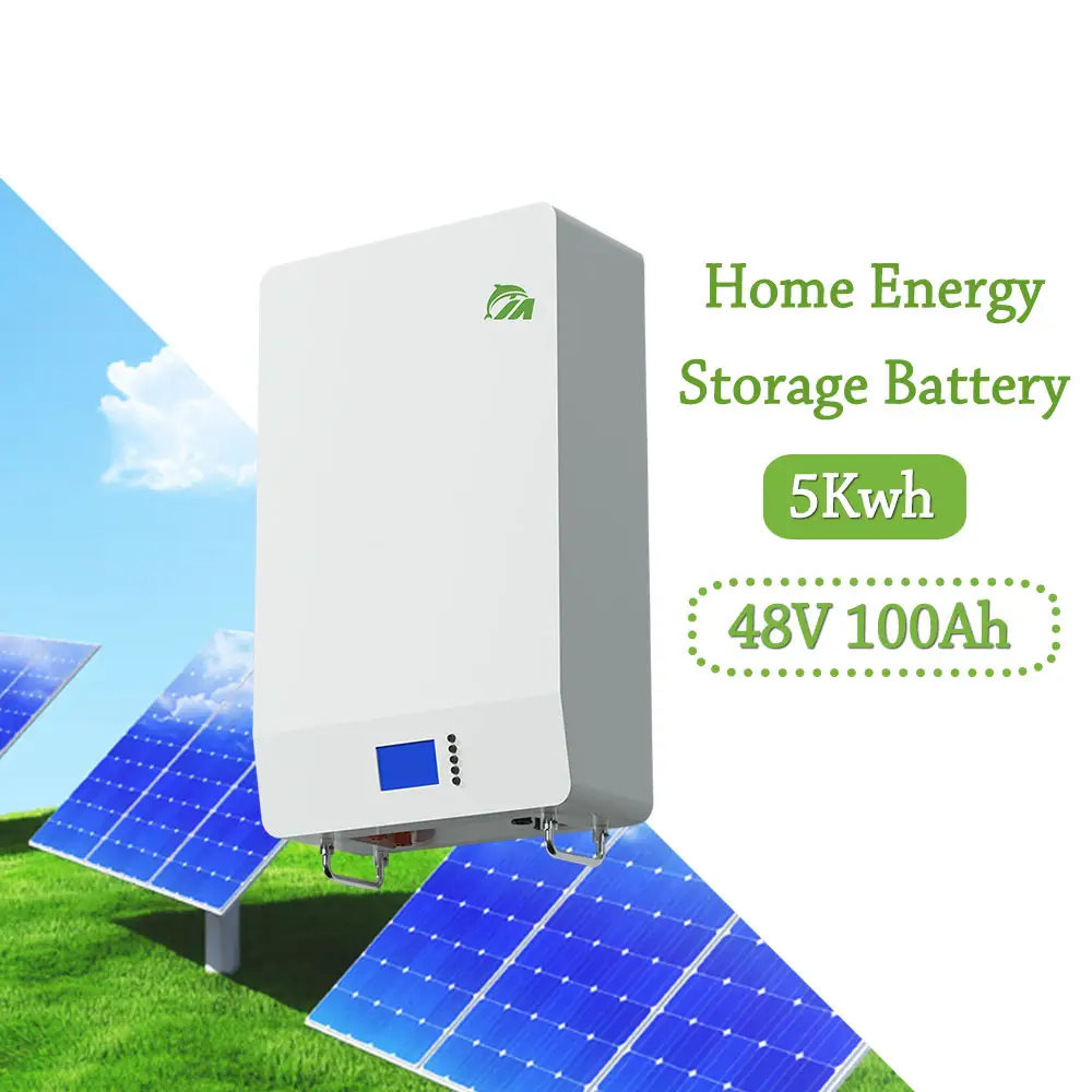 New Technology Lithium Ion Power Wall Home Battery 100ah 200ah Powerwall 10kwh Batteries for Solar Power System