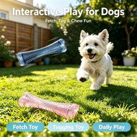 Jouet à mâcher pour chien en TPR transparent, résistant à l'eau, facile à nettoyer, résistant aux morsures, jouet interactif pour animaux de compagnie