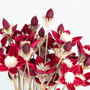 Moon Yu ชุดรวมแฮนด์เมดสำหรับตกแต่งบ้าน DIY - Product Image 1