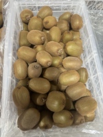 2026 Nieuwe oogst verse kiwi's, zoet, sappig, groen goud, premium exportkwaliteit, groothandelsprijs, China