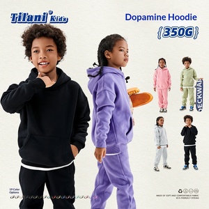 Marque de mode européenne américaine Maillard 350G Fleece à capuche uni pour garçons et filles pour l'automne et l'hiver - Product Image 1