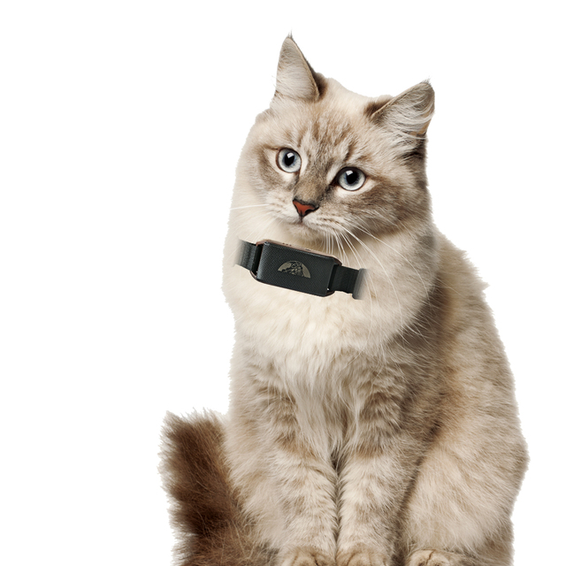 Coban Mini Cat GPS Tracker 201 Locator Collar Accessories Pet Gps tracker Smart GPS Dog Cat Anti-Lost