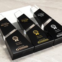 Trophée en cristal noir transparent personnalisé, souvenir créatif, trophée en cristal noir, trophée de récompense