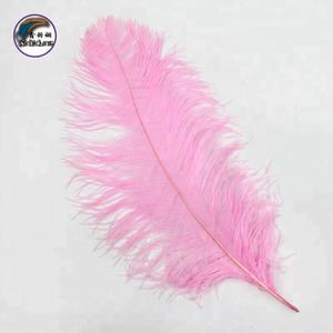 Plumes d'autruche colorées pour la décoration de vase à domicile en DIY - Product Image 5