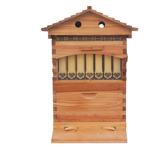 Nueva Colmena de Miel Automática con 7 Marcos Automáticos de Madera de Abeto, Excluidor de <span class=keywords><strong>Reina</strong></span>, Sin Ensamblar, <span class=keywords><strong>1</strong></span> Año de Garantía - Product Image 1