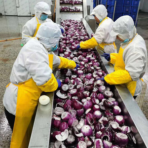 <span class=keywords><strong>Verduras</strong></span> orgánicas enteras peladas cortadas <span class=keywords><strong>congeladas</strong></span> incluyendo cebollas frescas 1kg al por mayor con certificado IQF - Product Image 6