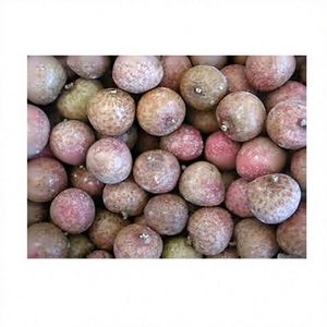 KIM MINH INTERNATIONAL Lichis Congelados IQF en Forma de Bola, Origen Vietnam, Calidad Premium, Envasados al Vacío, Nueva Temporada, a Granel - Product Image 1
