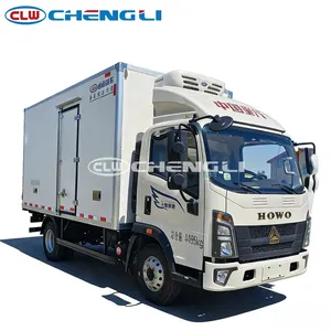Heavy Duty HOWO 4x2 6meter Freezer Truck with Carrier Refrigerator Unit Van Truck - Product Image 4
