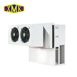 Dua Kipas Ayam Beku Berjalan Di Cooler Suhu Rendah Monoblock Condensing Unit