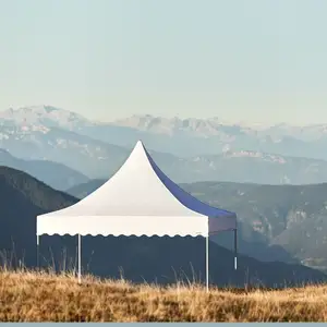 3x3m豪华坚固的尖顶帐篷是活动的理想选择