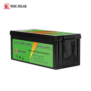 WHC 6000深循环12V 24V 100ah 200ah BMS太阳能存储可充电lifepo4电池锂离子电池