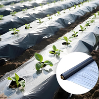 Film de paillage imperméable blanc et noir en plastique pour serre de tomates, préservation de la chaleur et plantation