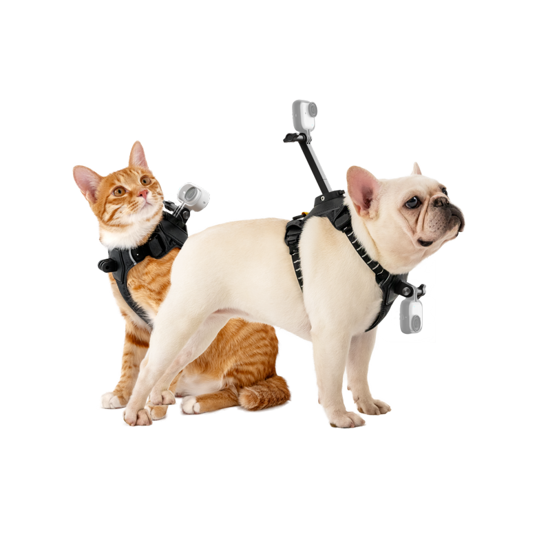 Support de harnais pour animaux de compagnie taille S (GO Ultra)