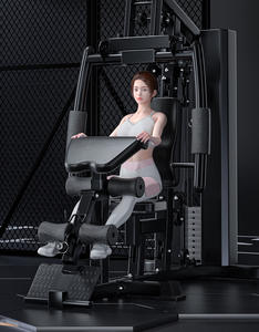 Salle de sport à domicile à poste unique, équipement de <span class=keywords><strong>musculation</strong></span> multifonctionnel, entraîneur de force à domicile, salle de sport <span class=keywords><strong>compacte</strong></span> à domicile, <span class=keywords><strong>machine</strong></span> de fitness tout-en-un - Product Image 2