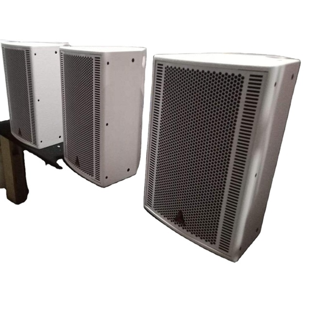 Professional 12-inch Performance Speaker Suitable for Medium and Small, Outdoor and Indoor Performances