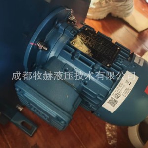 Motor Asíncrono Trifásico Weg 3-AL7-04, Carcasa de 130 mm, 1500 RPM, Montaje a Pie, Totalmente Cerrado - Product Image 4